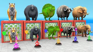 Mammoth Elephant Tiger Gorilla TRex Guess The Right Key ESCAPE ROOM CHALLENGE Animals Cage Game [upl. by Mirabella978]