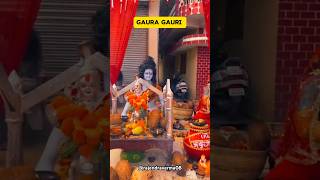 Gaura Gauri  devari cgfestival cgdiwali statusvideo chhattisgarh [upl. by Shear]