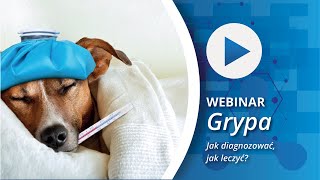 Grypa  jak diagnozować jak leczyć [upl. by Onaireves]