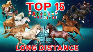 Top 15 Best Endurance Horse Breeds in the World [upl. by Bomke]