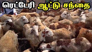 ரெட்டேரி ஆட்டு சந்தை  Retteri Goat Market  Chennai Bakrid Goat Market  Aatu santhai [upl. by Ku]