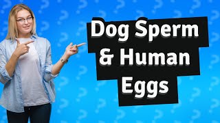 Can dog sperm penetrate a human egg [upl. by Jestude]