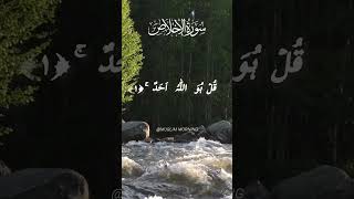 Surah Ikhlas shorts shortsfeed قرآن beautifulquranicrecitation hearttouching soothingquran [upl. by Elbam]