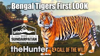 First LOOK At Bengal Tigers ALL Info amp Rare Furs  theHunter Call Of The Wild [upl. by Meekar]