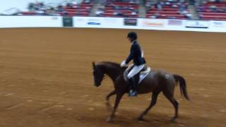 Mustang Million Legends 2013  Elisa Wallace amp Rune Reining Class [upl. by Breeze]