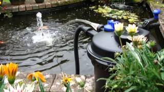 Pressurised Pond Filter Set Up PFC5000  All Pond Solutions [upl. by Ahsirt]