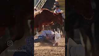 Just steer wrestling things bulldogging steerwrestling [upl. by Odlareg]