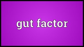 Gut factor Meaning [upl. by Codie844]