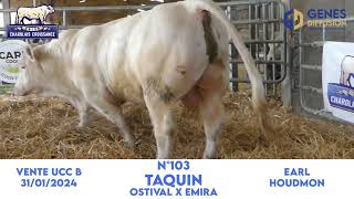 N°103 TAQUIN  EARL HOUDMON  OSTIVAL x EMIRA [upl. by Nylhtak]