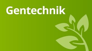 Gentechnisch veränderte Lebensmittel  Biologie  Genetik und Entwicklungsbiologie [upl. by Filide370]