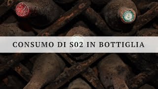 Le cause del consumo di SO2 durante la conservazione dei vini [upl. by Golliner]