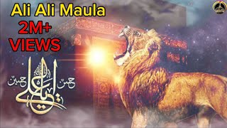 Ali Ali Maula Qawwali New [upl. by Ayel]