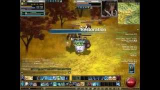 Rappelz online Red Drill 37 vs Deva cleric 39 [upl. by Aniretak]