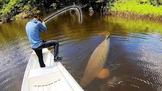 300 Lb MONSTER in a HIDDEN LAGOON INSANE [upl. by Mair]