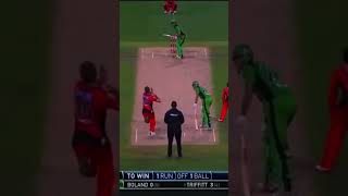 What A Crazy Finish In BBL cricket viralvideo trending shorts [upl. by Ki393]