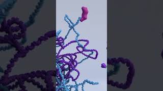 Are mutations good or bad genetics animation geneticdiversity facts biology mutation [upl. by Atekihs]