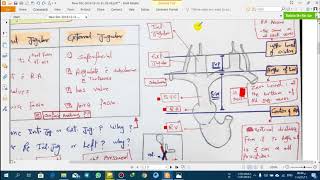 Neck Veins Examination  Pressure  JVP  CVP   Pulsations  waves [upl. by Myra319]