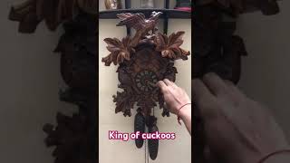 cuckoo clock drubba Gemany [upl. by Ahsieket]