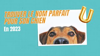 Nom de chien en U pour 2023 [upl. by Adia]