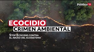 El ecocidio ¿un crimen contra la humanidad [upl. by Kettie]