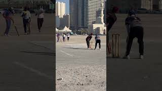 CRICKET  BATTING  LOVE sportscricket indian cricket uae instareels shots [upl. by Garner]