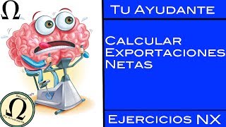 Exportaciones Netas  Ejercicios NX  Método Nº1  Tu Ayudante Economía [upl. by Ennasil168]