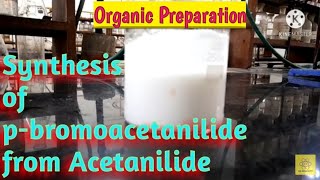Synthesis of para bromoacetanilide from Acetanilide [upl. by Anelrihs]