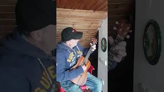 Baritone Ukulele  12 Bar Blues in EADG Tuning [upl. by Leahicm]