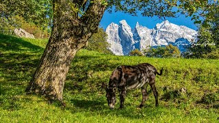 Soglio  Val Bregaglia [upl. by Norby]