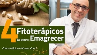 4 Fitoterápicos que ajudam a Emagrecer  Dr Dayan Siebra [upl. by Gusti]