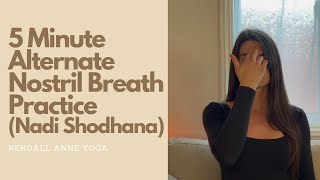 Alternate Nostril Breathing Nadi Shodhana 5 Minute Pranayama Breathwork Practice [upl. by Hamitaf]