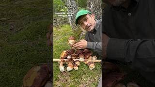 Porcini 2024L’ispirazione ha dato i suoi frutti funghi porcini mushroom boletus [upl. by Ahsoik]