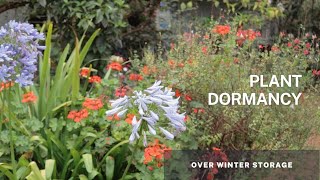 Understanding Plant Dormancy  Tips Preparation and Care of your dormant plants overwinter [upl. by Zedecrem]