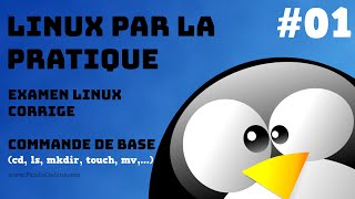 Linux Par la Pratique  Examen Linux corrige 01 Commandes de Base [upl. by Cirilo]