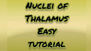 Nuclei of Thalamus  Easy diagram tutorial  Neuroanatomy  MBBSGOALS🌸 [upl. by Wickner341]