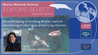 Eavesdropping on working whales with Dr Renee Albertson [upl. by Kaasi]