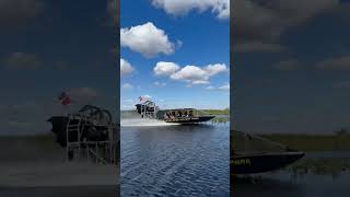 Experience the Thrill of the Battleship on an Airboat Ride at Everglades Holiday Park [upl. by Eiliak]