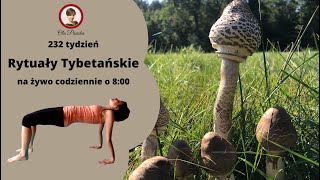 🧘Rytuały Tybetańskie – tydzień 232 dzień 4 [upl. by Artenehs86]