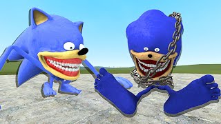 Evolution Of New Shin Baby Sonic Vs Sonic Chain And Others In Garrys Mod [upl. by Dleifniw]