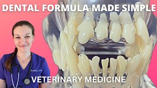 Demystifying the Dental Formula [upl. by Giardap]