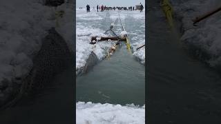 Ice fishing net hoisting process [upl. by Ormiston489]