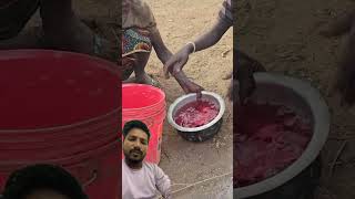 Ek ase cast hadzabetribe food villagelife fish cooking [upl. by Teri]