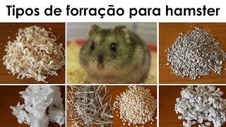 Tipos de forração para hamsters [upl. by Mikes]