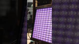 Introducing the NANLITE PavoSlim LED panels [upl. by Esilrahc]