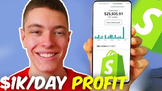 0 To 1000DAY PROFIT In 13 Days Dropshipping  FULL REVEAL  Shopify [upl. by Bensen]