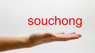 How to Pronounce souchong  American English [upl. by Dunaville]