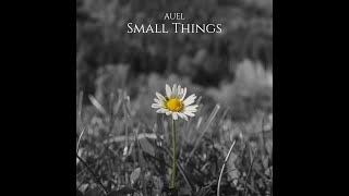 Small Things [upl. by Conney]