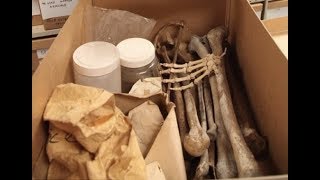 The Kurnell Bones Mystery  New South Wales Australia [upl. by Leahcym]