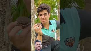 Mengejar Kue funny funwithbrothers comedy 2brothersfails [upl. by Avlis]