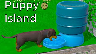 New Puppy Island Shopping  Dogs  And Area [upl. by Pearline]